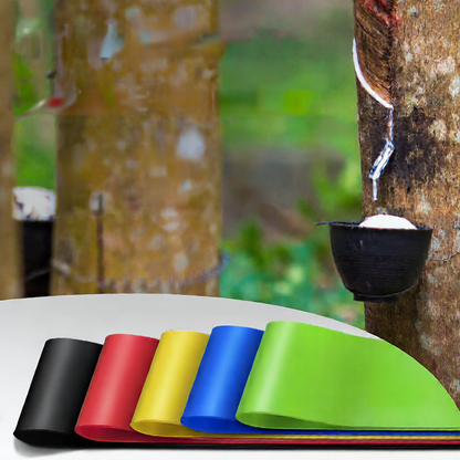 Resistance Exercise Bands