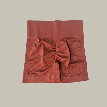 Women's Seamless Yoga Shorts/Bra